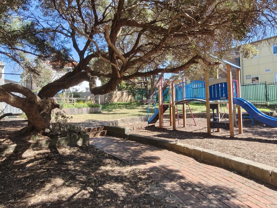 An old spreading tree shading the play equipment, with the community garden bed behind